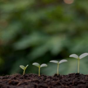 Divida Ativa - Conversão Multa Ambiental